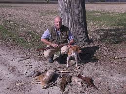Inoltre, se hai intenzione di adottare un cane da caccia, dovrai considerare che sono molto energici e attivi, quindi hanno bisogno di un'elevata attività fisica. Cani Pronta Caccia In Vendita Allevamento E Addestramento