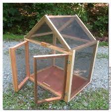 Image Result For Butterfly Hatching House Butterfly Habitat Butterfly Garden Monarch Butterfly Habitat