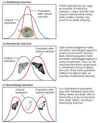 Pin On Biology