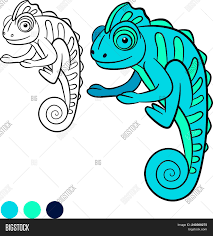 This is where our website will be helpful! Coloring Page Color Vector Photo Free Trial Bigstock