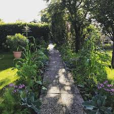 Gefallt 374 Mal 18 Kommentare Horst Mager Horst Sein Schrebergarten Auf Instagram Gemusegarten Teil 3 Im Juli Sah Es Schon Richtig In 2020 Sidewalk Structures