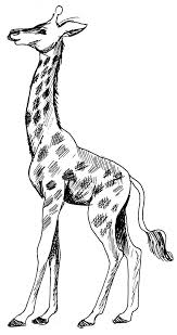 Comment dessiner un animal et plus précisément une joli girafe jaune avec un. Coloriage Girafe Les Beaux Dessins De Animaux A Imprimer Et Colorier Page 2