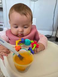 Hello! Please help.. FTM mum here who feels like I'm doing something  wrong.. I've introduced my little one to little tasters since 5 months old  in preparation for puree and BLW, whichever..
