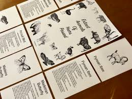 Additional movie data provided by tmdb. Extinct Animals Bundle Chickie Roo Homeschool