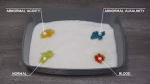 It changes colors based on the ph of your cat's urine, allowing you to potentially catch health problems just as they start. Prettylitter Info Youtube