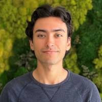 20+ "Antoci -perci" profiles