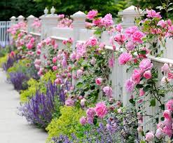 Zaun Und Mauer Im Garten Als Ein Lebendiger Akzent Garten Blumenbeet Gestalten Vorgarten