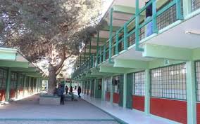 ( 667) 135 24 68, ( 667) 458 74 21 descarga la app Destaca El Conalep Por Plan Incluyente El Sol De Tijuana Noticias Locales Policiacas Sobre Mexico Baja California Y El Mundo