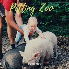 Rent our petting zoo for parties and events. Enjoy Our Petting Zoo In Your Next Party Chikyjump