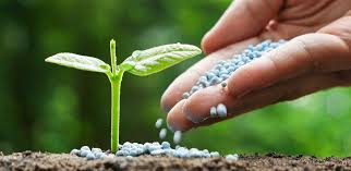 fertilizers ile ilgili görsel sonucu