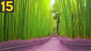 Write the correct word form. 15 Unbelievable Places That Actually Exist Youtube