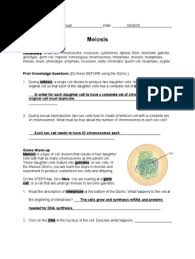 Check spelling or type a new query. Explore Learning Meiosis Meiosis Mitosis