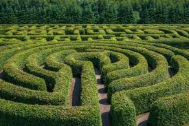Losing – and finding – yourself in a labyrinth - Hannah Fielding