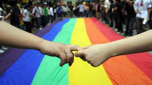 El matrimonio igualitario y los principios constitucionales estructurantes de igualdad. Falacias Juridicas Las Criticas A La Union Civil Y El Matrimonio Igualitario Polemos
