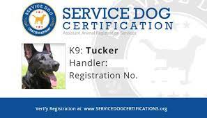 Über 7 millionen englischsprachige bücher. Wanting To Have A Service Dog Check Here If You Are Qualified