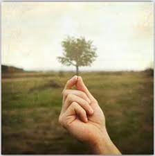 Pin On My Life