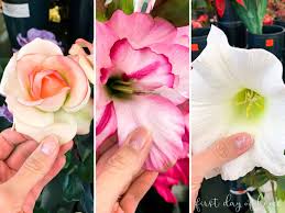 2 wipe down artificial plants with a rag moistened with soapy. How To Get The Best Looking Diy Spring Wreath Tips Tricks