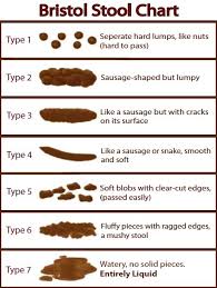 Evaluating 5 Qualities Of Poop To Determine Your Health And Diet