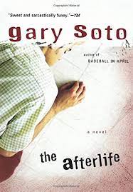 But first we need some information about the person. The Afterlife A Novel Soto Gary 9780152052201 Books Amazon Ca