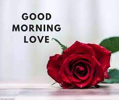 The bright sun and the smiling flowers are waiting for you to see you. Romantic Good Morning Messages For Wife Best Collection Romantic Good Morning Messages Good Morning Happy Sunday Good Morning Messages