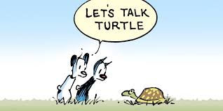 When it comes to exotic pets, turtles seem to lead the list of preferred animals. Facts And Misconceptions About Caring For Turtles And Tortoises Mutts