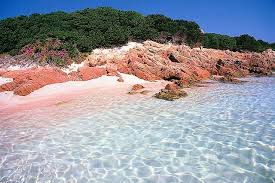 Müssen tickets für budelli arcipelago maddalena im voraus gebucht werden? Spiaggia Rosa Pink Beach Budelli Sardinia Italy Beaches In The World Sardinia Italy Pink Beach