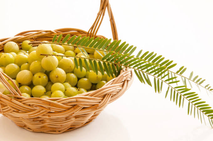 Amalaki – the ultimate healer – Kerala Ayurveda USA