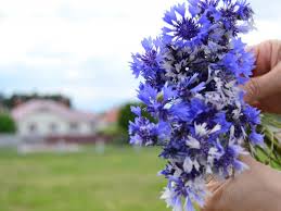 Jun 22, 2021 · в понеділок, 21 червня, в вінниці відбулося яскраве свято дитинства і морозива від торговельної марки «рудь». 20 Chervnya Yake Sogodni Svyato Do Kogo Jdemo Svyatkuvati Rajon Ivanichi