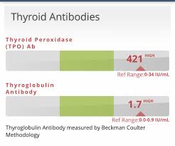Recurrent Mcs Tsh 4 19 W Thyroid Antibodies Updated