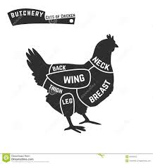 chicken meat cuts diagram illustration 57479504 megapixl