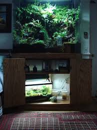 Updated Grow In Photos Of My 1st Viv Page 2 Dendroboard Vivarium Reptile Terrarium Reptile House