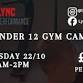 October Half Term Gym Camp (11 and Under) 28/10 event in Worksop