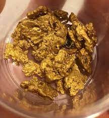 Precious metals such as gold and silver are priced in troy oz. Gold Paydirt 1 Lb 100 Unsearched And Guaranteed Added Gold Panning Nugget Ebay