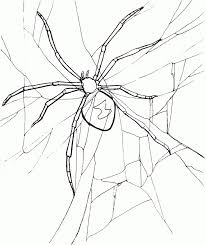 Http Coloringstar Com Best Black Widow Spider Coloring Pages 4321 Spider Coloring Page Animal Coloring Pages Coloring Pages