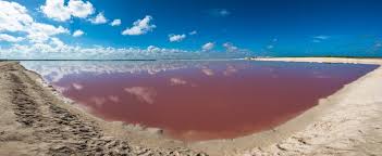 In australien gibt es gleich. Rosa Strande Diese 7 Pinken Orte Gibt Es Wirklich Reisewelt