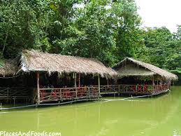 Hulu langat eco farm is a newly opened homestay with furbished accommodation, farm animals and vegies plantation. Vegetable Fish Farm Thai Restaurant