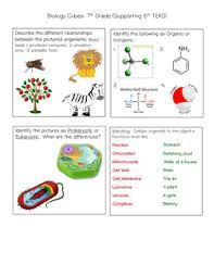 Über 7 millionen englischsprachige bücher. Cube Activity 7th And 8th Grade Staar Review By The Dappled Xenopus