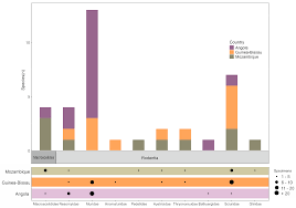 Image result for Macrotyloma rupestre × densiflo