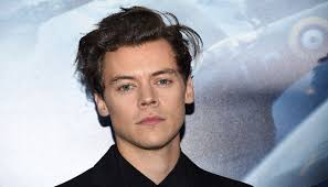Inikah Kekasih Baru Harry Styles?
