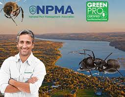 Contact us and ask about our the area of lake norman and mooresville, nc have a lot of mosquito population, especially in the summer. Finger Lakes Pest Control Same Day Enviropest Solutions