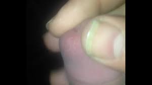 Arab dick - XNXX.COM