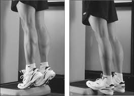 Performing calf raises on a regular basis will give your upper body the support it needs to complete a wide variety of activities. How To Do The Standing Calf Raise Dummies