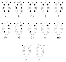 8 Hole Peruvian Ocarina Finger Chart A Pictures Of Hole 2018