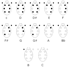 8 hole peruvian ocarina finger chart a pictures of hole 2018