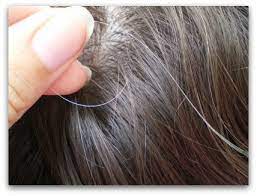 As your hair follicles age, they produce less color. True Life I Found A Gray Hair Awesomely Luvvie