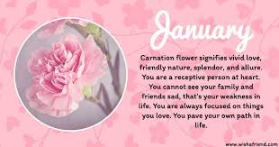 January Birth Flower The Carnation Sending Smiles Carnation Januaryflower Pinkcarnation Flowe In 2020 January Birth Flowers Birth Flowers Birth Month Flowers