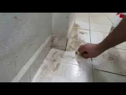 Fayans ve lavabodaki küf lekesi nasıl çıkar? Tutkal Ve Yapiskan Temizleme Clairmax Irt 05323004962 Youtube
