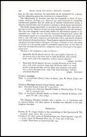 Image result for Ascolepis protea