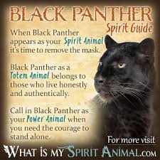 Black Panther Symbolism Meaning Spirit Totem Power Animal Animal Totem Spirit Guides Animal Spirit Guides Spirit Animal Meaning