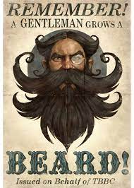 Holiroots™ is an active blend of holistic plant roots for the hair scalp and roots. I Always Thought The Posters In Fable 3 Were Pretty Funny More Here Beard Beard Art Beard Humor